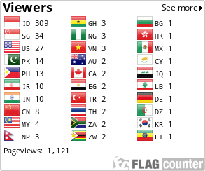 Flag Counter