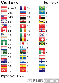 Flag Counter