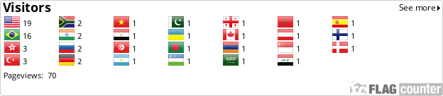 Flag Counter