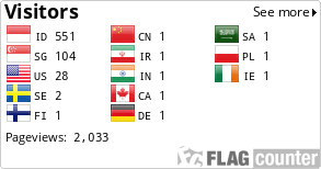 Flag Counter