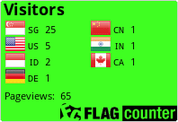 Flag Counter