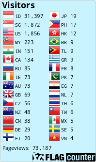 Flag Counter