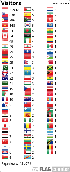 Flag Counter
