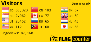 Flag Counter