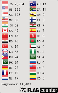 Flag Counter