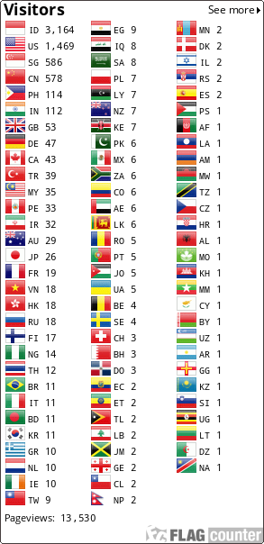 Flag Counter