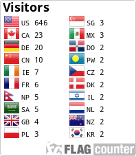 Flag Counter