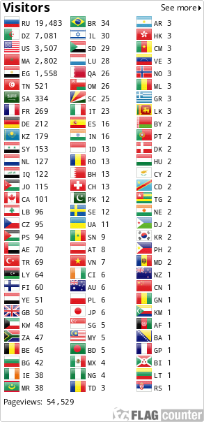 Flag Counter