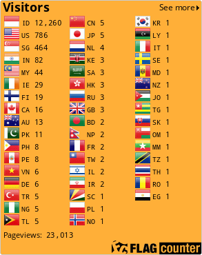 Flag Counter