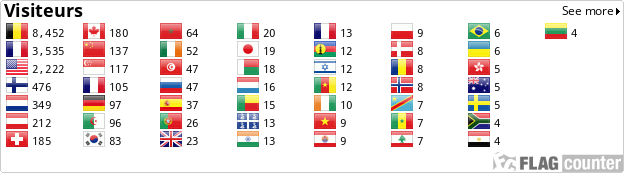 Flag Counter