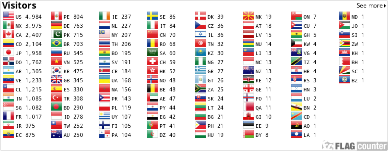 Flag Counter