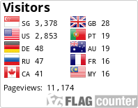 Flag Counter