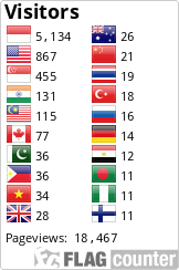 Flag Counter