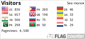 Flag Counter