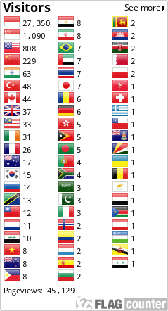 Flag Counter
