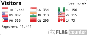Flag Counter