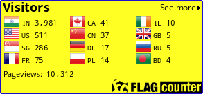 Flag Counter