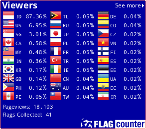 Flag Counter