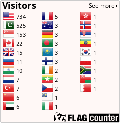 Flag Counter