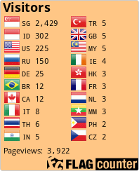 Flag Counter