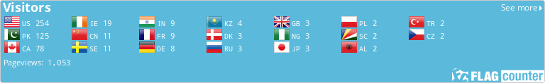Flag Counter