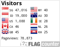 Flag Counter