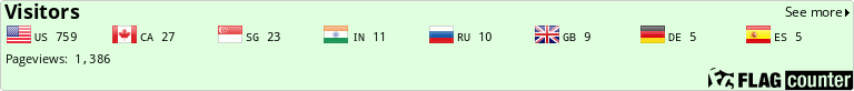 Flag Counter