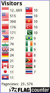 Flag Counter