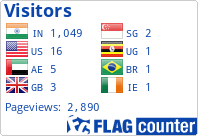Flag Counter