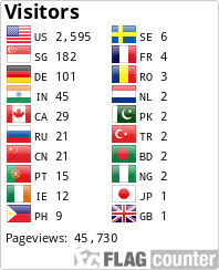Flag Counter