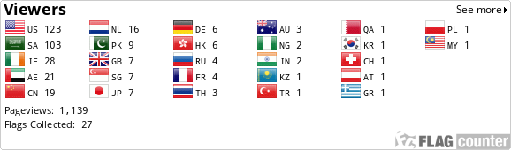 Flag Counter