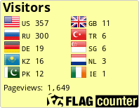 Flag Counter