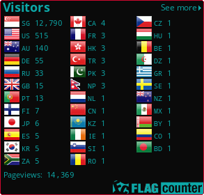 Flag Counter