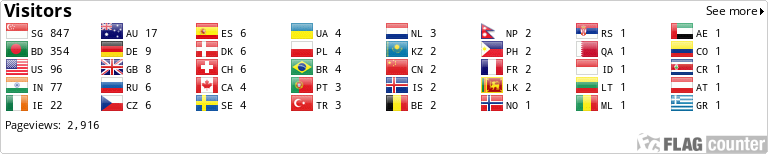 Flag Counter
