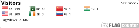 Flag Counter