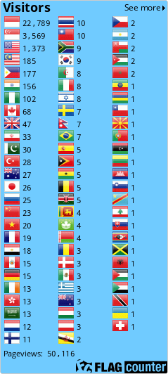 Flag Counter