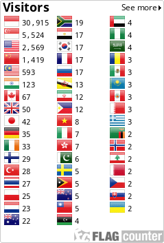 Flag Counter