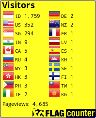 Flag Counter