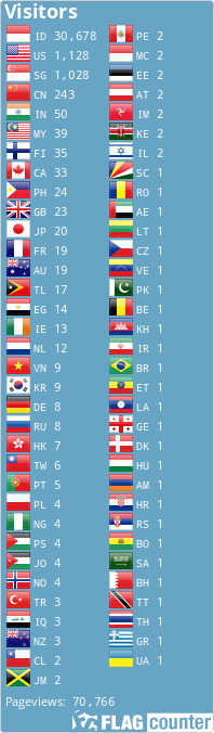 Flag Counter