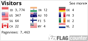 Flag Counter