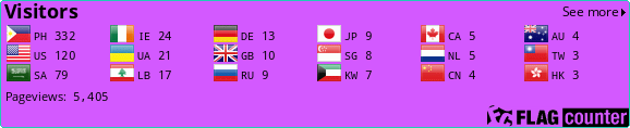 Flag Counter