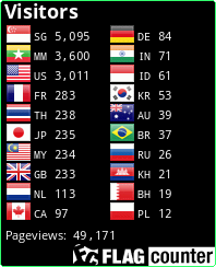 Flag Counter