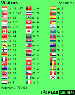 Flag Counter