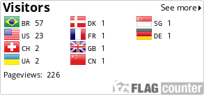 Flag Counter