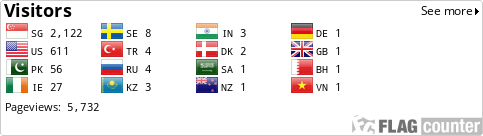 Flag Counter