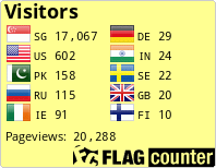 Flag Counter