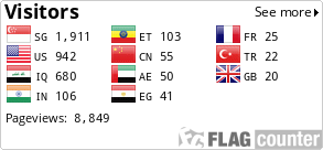 Flag Counter