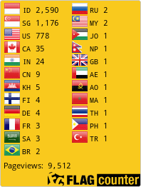 Flag Counter