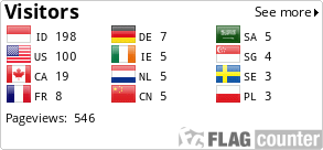 Flag Counter