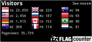 Flag Counter